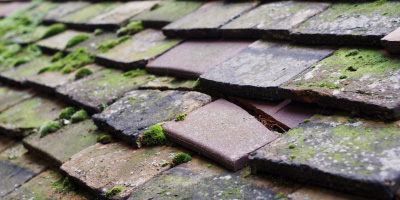 Forest Row roof repair costs